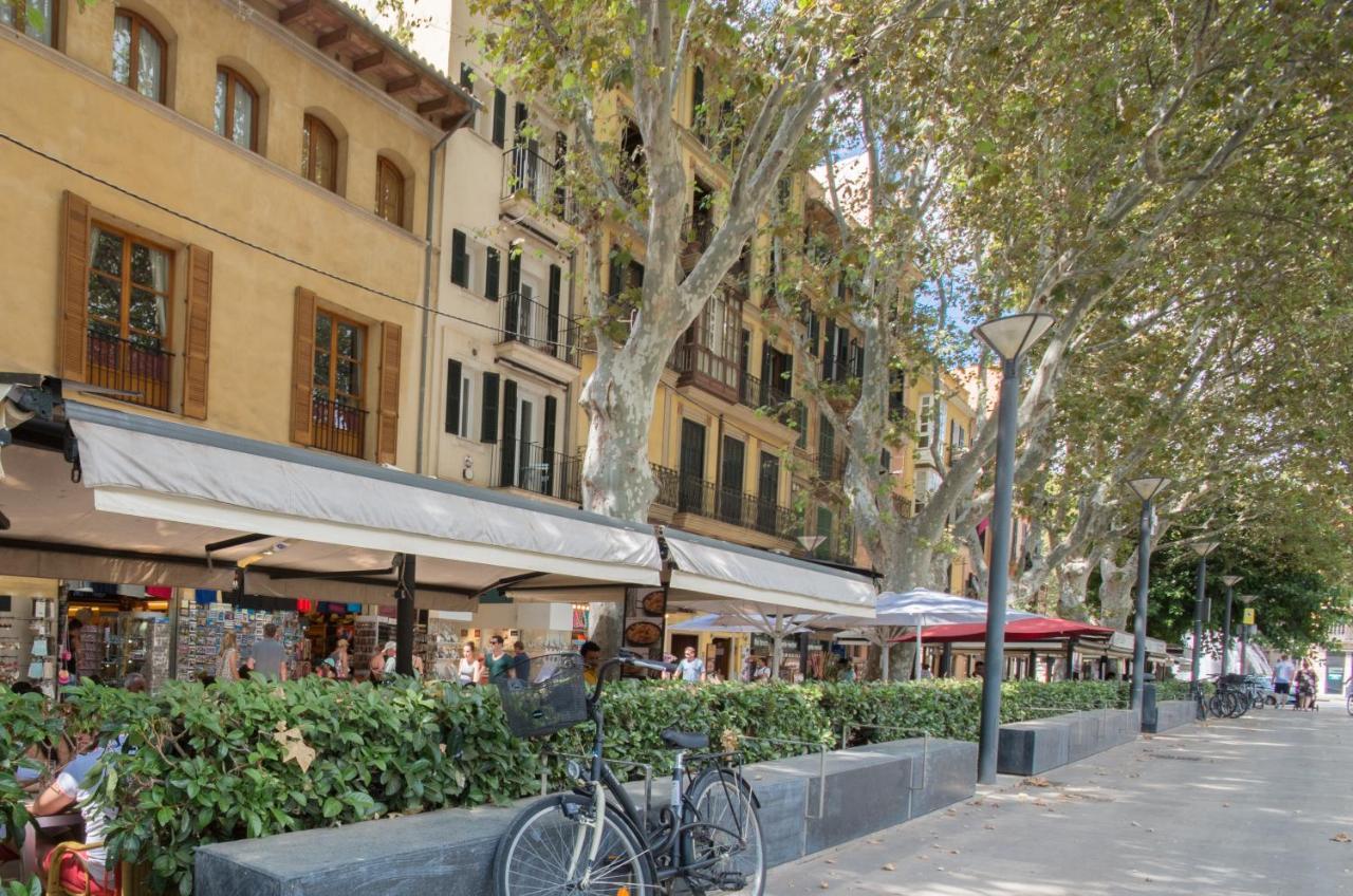 Marsuites Palma - Turismo De Interior Ti 162 エクステリア 写真